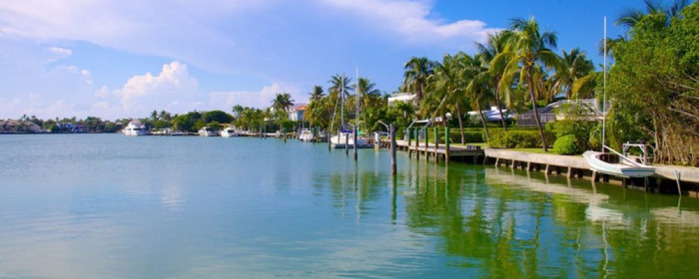 Bill Baggs Cape: Un paraíso tropical a 15 minutos de Miami