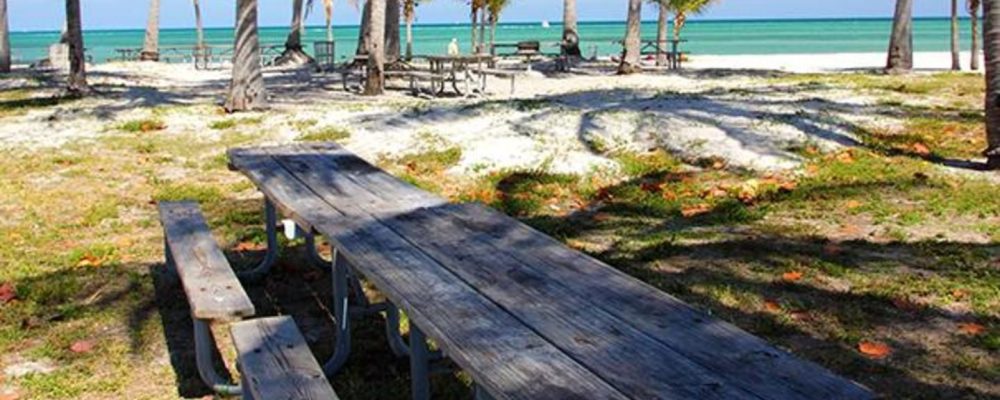 Crandon Park, Key Biscayne: Un paraíso tropical para los amantes de las playas y los entusiastas de la naturaleza