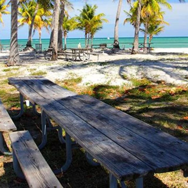 panorama cargo travel miami Crandon Park, Key Biscayne: Un paraíso tropical para los amantes de las playas y los entusiastas de la naturaleza