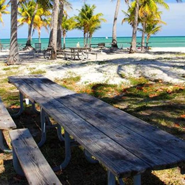 Crandon Park, Key Biscayne: Un paraíso tropical para los amantes de las playas y los entusiastas de la naturaleza