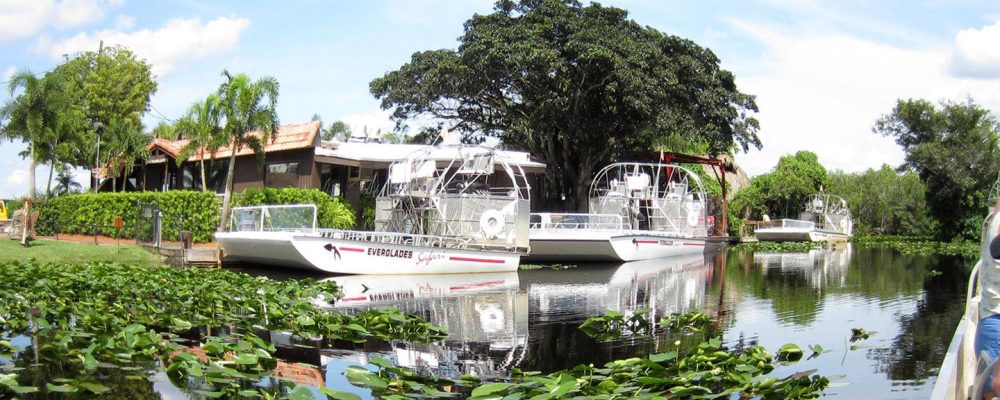 Un paseo por los humedales en [The Everglades]