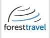Forest Travel
