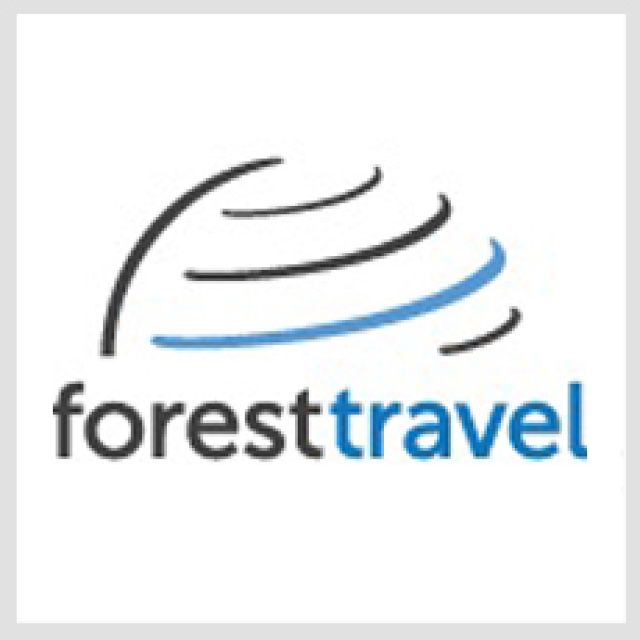 Forest Travel