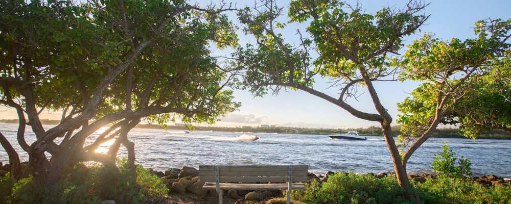 Playa nudista al norte del [Haulover Park]