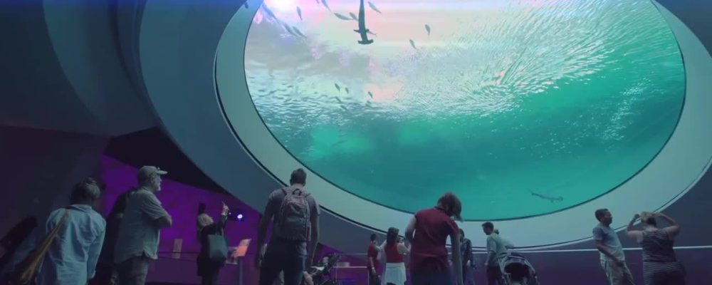 Visitar el [Phillip and Patricia Frost Museum of Science]