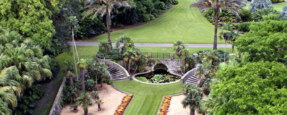 Conocer especies florales en el [Fairchild Tropical Botanical Garden]