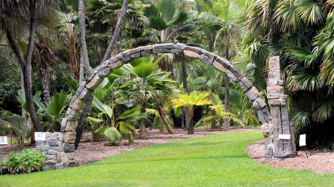 Conocer especies florales en el [Fairchild Tropical Botanical Garden ...